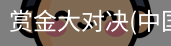 赏金大对决